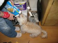 <img200*0:stuff/z/1675/proofpics4/i1302307709_5.jpg>