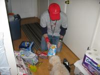 <img200*0:stuff/z/1675/proofpics4/i1302307709_6.jpg>