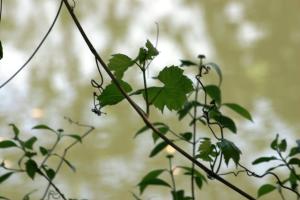 <img300*0:stuff/z/169023/A%2520Goosey%2520Day%2520in%2520May/i1274137469_21.jpg>