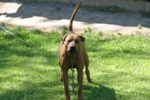 <img300*0:stuff/z/169023/A%2520Goosey%2520Day%2520in%2520May/i1274137469_22.jpg>