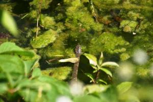 <img300*0:stuff/z/169023/A%2520Goosey%2520Day%2520in%2520May/i1274137469_29.jpg>
