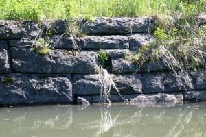 <img300*0:stuff/z/169023/A%2520Goosey%2520Day%2520in%2520May/i1274137469_32.jpg>