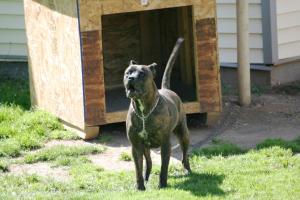 <img300*0:stuff/z/169023/A%2520Goosey%2520Day%2520in%2520May/i1274137469_34.jpg>