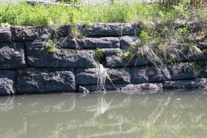 <img300*0:stuff/z/169023/A%2520Goosey%2520Day%2520in%2520May/i1274137469_38.jpg>