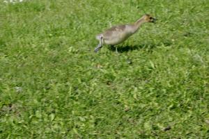 <img300*0:stuff/z/169023/AGDIM%2520Part%25202/i1274138144_3.jpg>