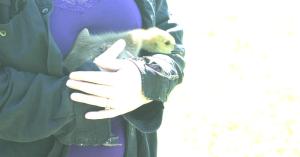 <img300*0:stuff/z/169023/AGDIM%2520Part%25202/i1274138144_4.jpg>