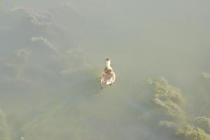 <img300*0:stuff/z/169023/AGDIM%2520Part%25202/i1274138145_14.jpg>