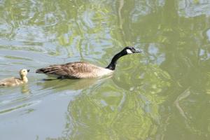 <img300*0:stuff/z/169023/AGDIM%2520Part%25202/i1274138145_18.jpg>