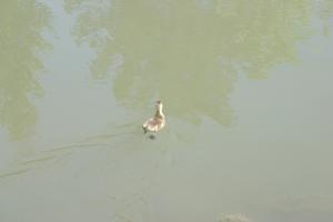 <img300*0:stuff/z/169023/AGDIM%2520Part%25202/i1274138146_26.jpg>