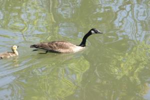 <img300*0:stuff/z/169023/AGDIM%2520Part%25202/i1274138146_30.jpg>