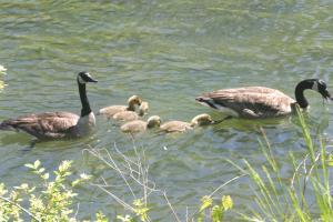 <img300*0:stuff/z/169023/AGDIM%2520Part%25202/i1274138146_31.jpg>