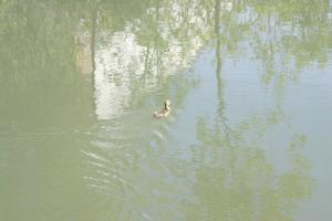 <img300*0:stuff/z/169023/AGDIM%2520Part%25202/i1274138146_32.jpg>