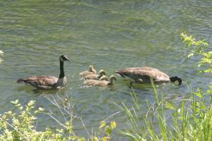 <img300*0:stuff/z/169023/AGDIM%2520Part%25202/i1274138147_37.jpg>