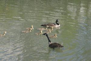 <img300*0:stuff/z/169023/AGDIM%2520Part%25202/i1274138147_40.jpg>