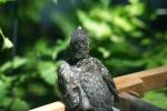 <img150*0:stuff/z/169023/Baby%2520Robin.1/i1278457502_29.jpg>