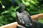 <img150*0:stuff/z/169023/Baby%2520Robin.1/i1278457503_35.jpg>