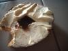 <img100*0:stuff/z/169023/Bagel%252010/i1259101849_3.jpg>