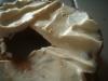 <img100*0:stuff/z/169023/Bagel%252010/i1259101849_6.jpg>