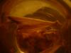 <img100*0:stuff/z/169023/Bat%252042/i1259865215_1.jpg>