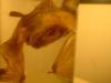 <img100*0:stuff/z/169023/Bat%252042/i1259865215_4.jpg>