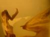 <img100*0:stuff/z/169023/Bat%252042/i1259865215_5.jpg>