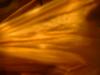 <img100*0:stuff/z/169023/Bat%252042/i1259865216_10.jpg>
