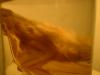 <img100*0:stuff/z/169023/Bat%252042/i1259865216_15.jpg>