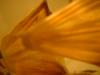 <img100*0:stuff/z/169023/Bat%252042/i1259865216_18.jpg>