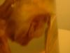 <img100*0:stuff/z/169023/Bat%252042/i1259865216_19.jpg>