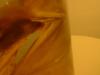<img100*0:stuff/z/169023/Bat%252042/i1259865216_23.jpg>
