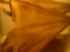 <img100*0:stuff/z/169023/Bat%252042/i1259865216_25.jpg>