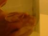 <img100*0:stuff/z/169023/Bat%2520in%2520a%2520Jar/i1259865222_3.jpg>