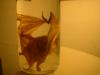 <img100*0:stuff/z/169023/Bat%2520in%2520a%2520Jar/i1259865222_5.jpg>