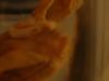 <img100*0:stuff/z/169023/Bat%2520in%2520a%2520Jar/i1259865222_9.jpg>