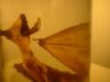 <img100*0:stuff/z/169023/Bat%2520in%2520a%2520Jar/i1259865223_18.jpg>