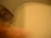 <img100*0:stuff/z/169023/Bat%2520in%2520a%2520Jar/i1259865223_20.jpg>