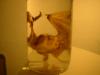 <img100*0:stuff/z/169023/Bat%2520in%2520a%2520Jar/i1259865223_39.jpg>