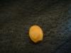<img100*0:stuff/z/169023/Beads/i1255987873_22.jpg>
