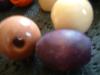 <img100*0:stuff/z/169023/Beads/i1255987873_23.jpg>