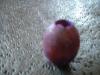 <img100*0:stuff/z/169023/Beads/i1255987873_25.jpg>