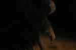 <img150*0:stuff/z/169023/Bears./i1283884639_17.jpg>