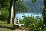 <img150*0:stuff/z/169023/Bench%2520Reference/i1278630833_10.jpg>