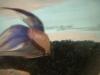 <img100*0:stuff/z/169023/Betta%25204/i1259624310_4.jpg>