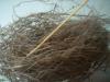 <img100*0:stuff/z/169023/Bird%2527s%2520Nest/i1263420470_3.jpg>