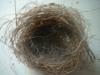 <img100*0:stuff/z/169023/Bird%2527s%2520Nest/i1263420471_13.jpg>