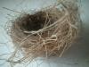 <img100*0:stuff/z/169023/Bird%2527s%2520Nest/i1263420471_27.jpg>