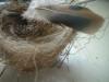 <img100*0:stuff/z/169023/Bird%2527s%2520Nest/i1263420472_31.jpg>