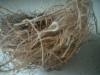 <img100*0:stuff/z/169023/Bird%2527s%2520Nest/i1263420472_32.jpg>