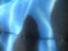 <img100*0:stuff/z/169023/Black%2520and%2520Blue%252024/i1258920029_24.jpg>