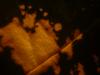 <img100*0:stuff/z/169023/Bleach%252027/i1259800017_1.jpg>